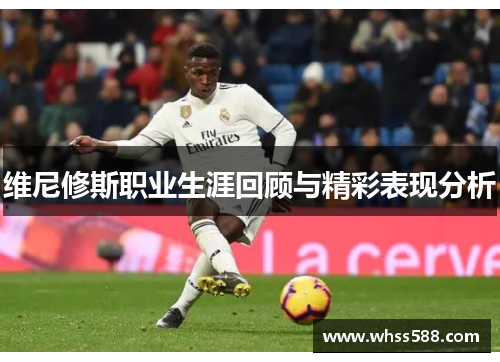 维尼修斯职业生涯回顾与精彩表现分析